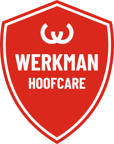 Werkman Hoofcare