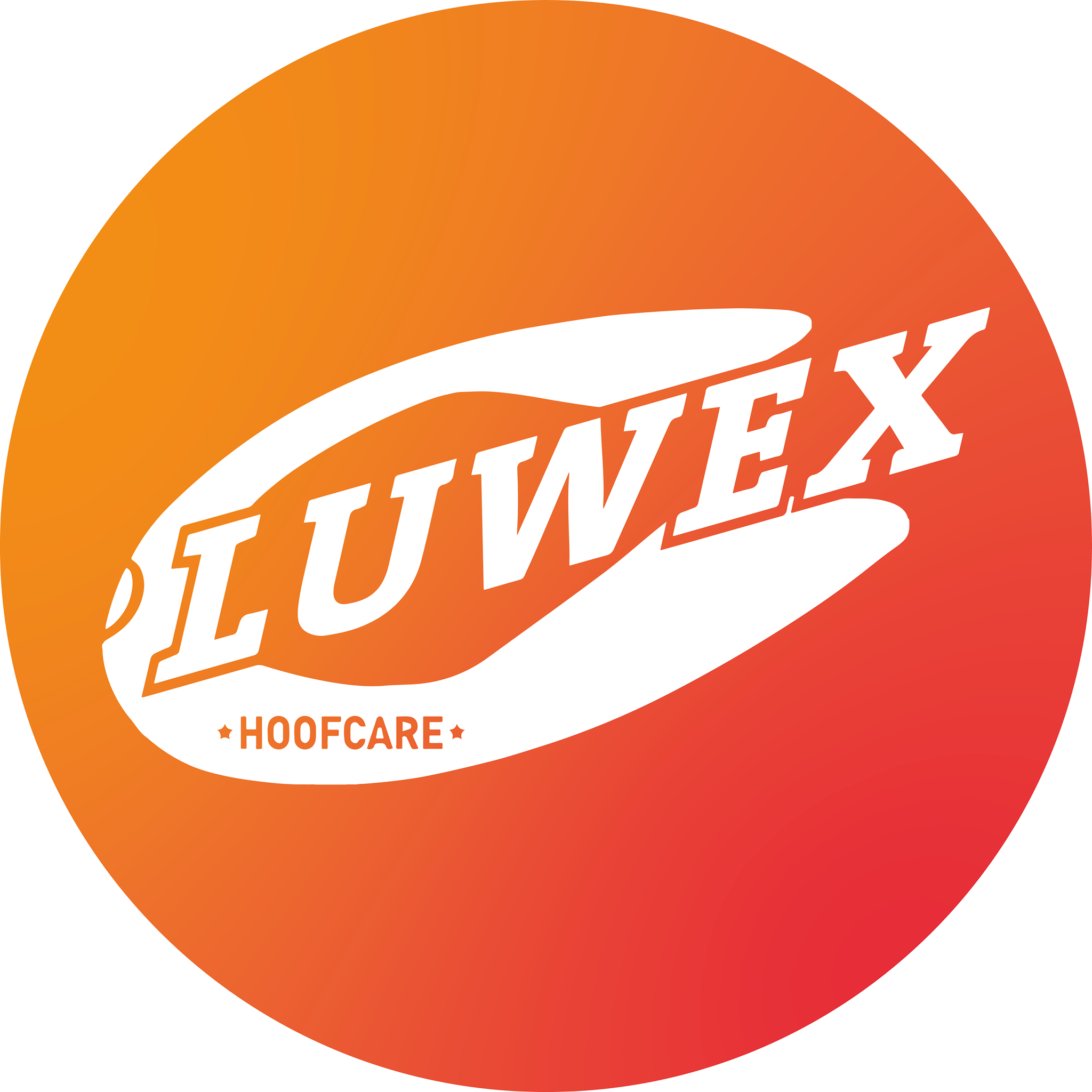 302563724_522360423134966_3411486734957642646_n